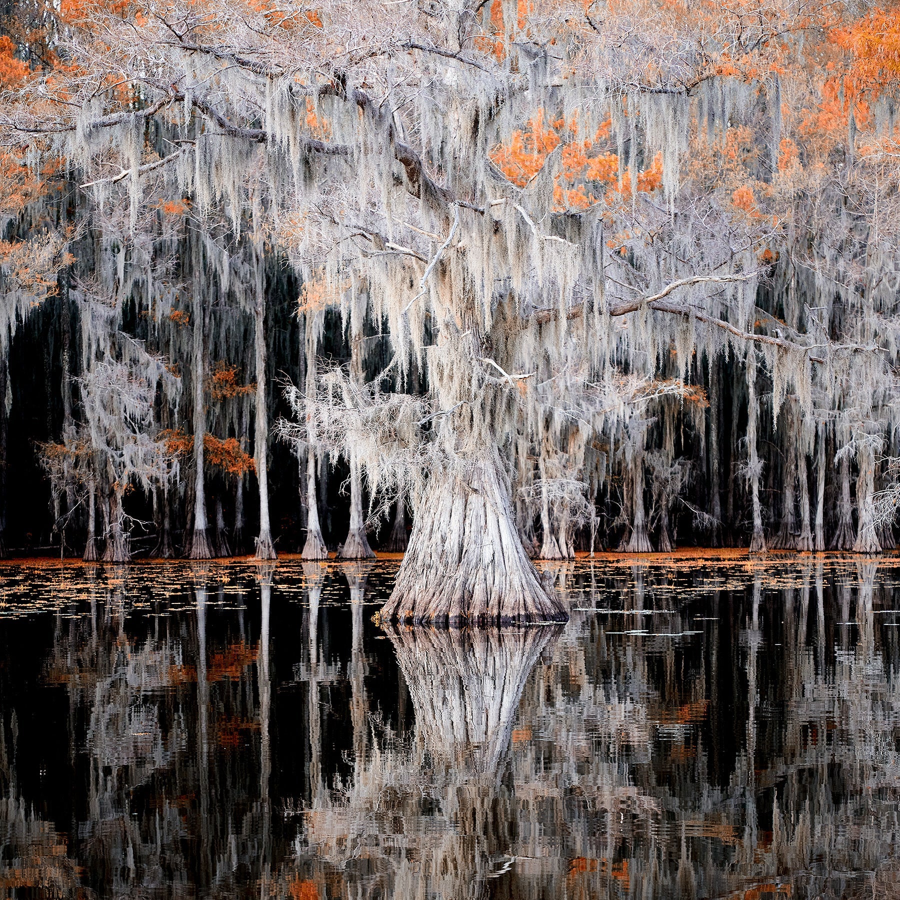 Open Editions – David Beavis Fine Art