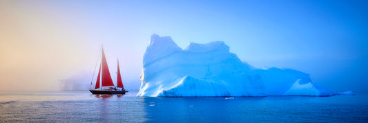 Arctic Embrace Print