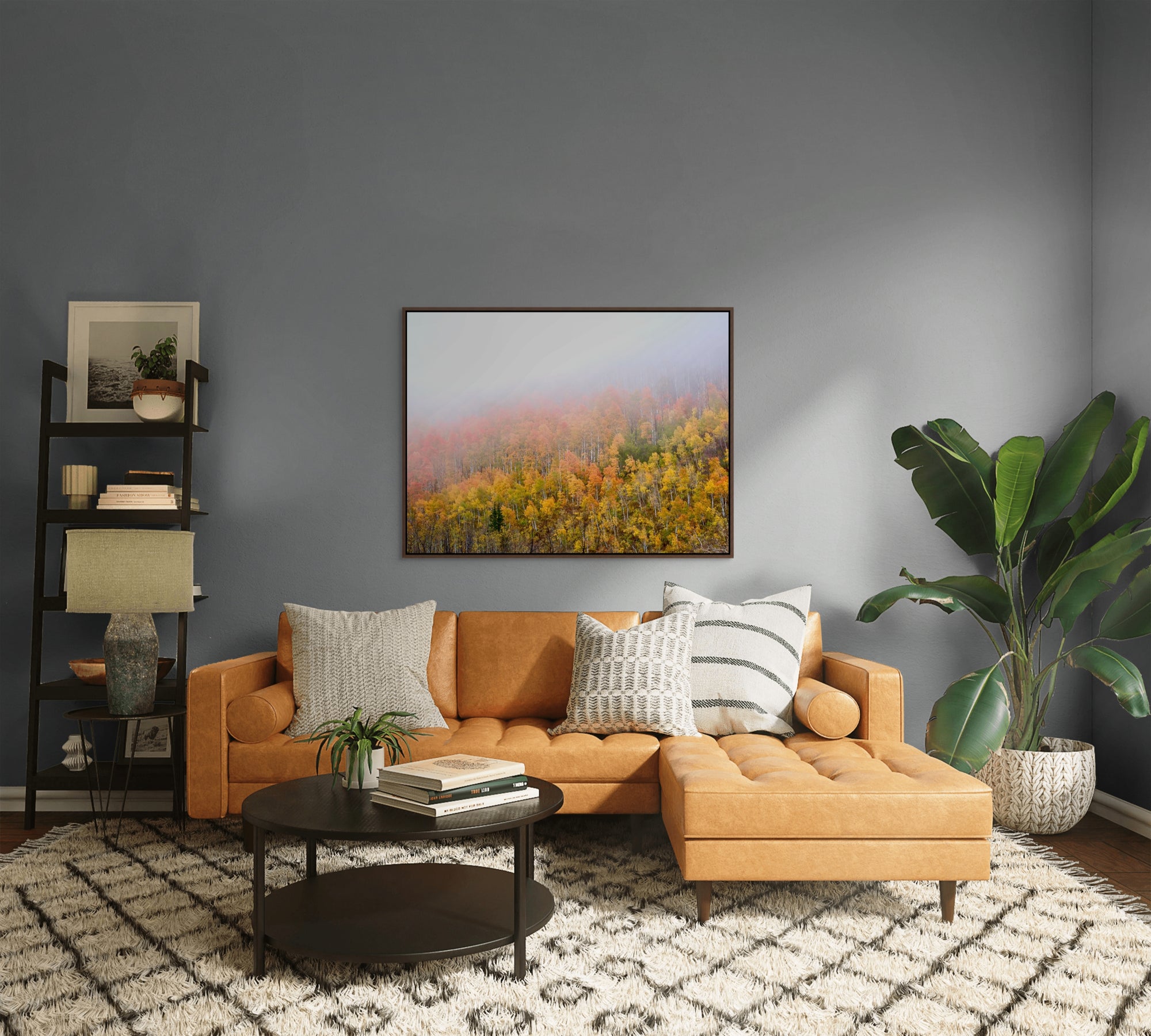 Aerial image of trees with fall colored leaves, and a heavy fog framed over a sofa.