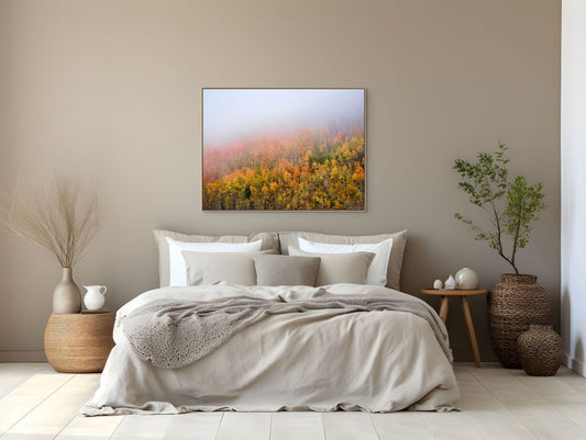 Aerial image of trees with fall colored leaves, and a heavy fog framed over a bed.