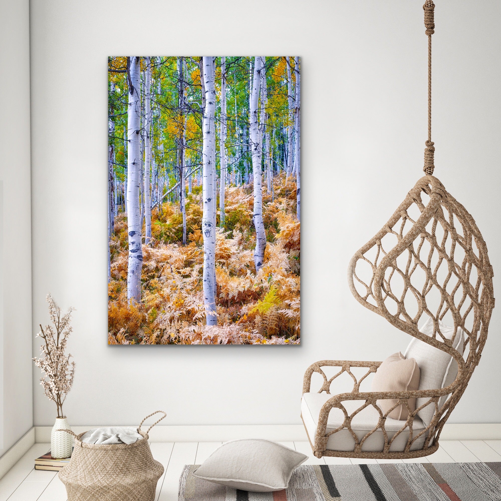 Image of Aspens and ferns in the forest hanging over a chair