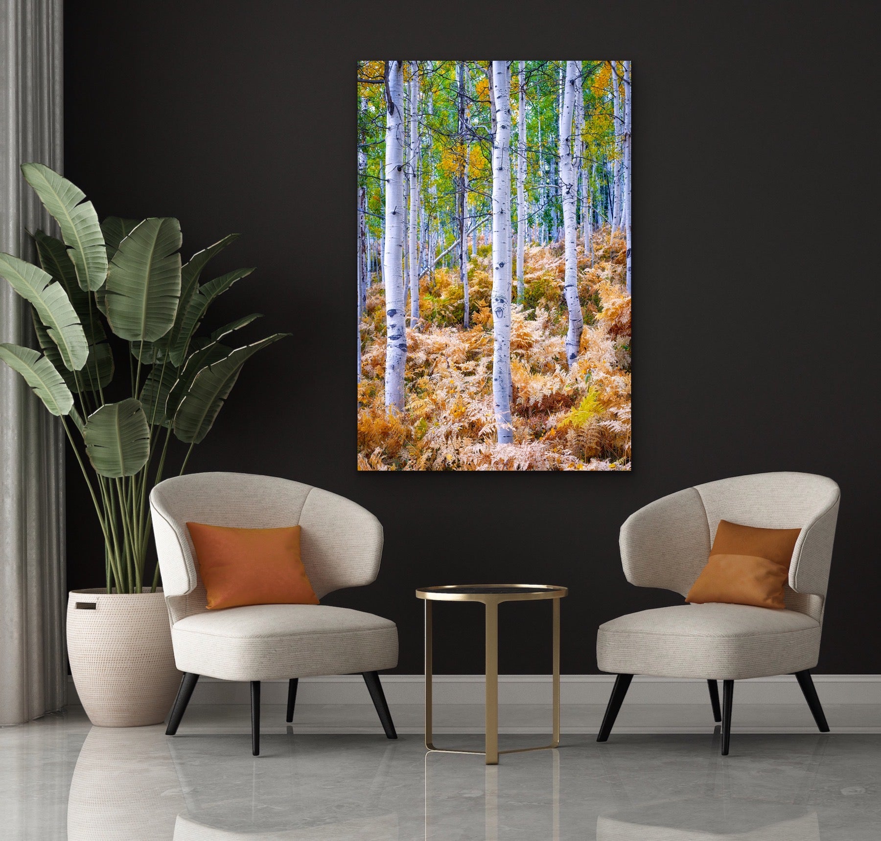 Image of Aspens and ferns in the forest hanging over 2 chairs