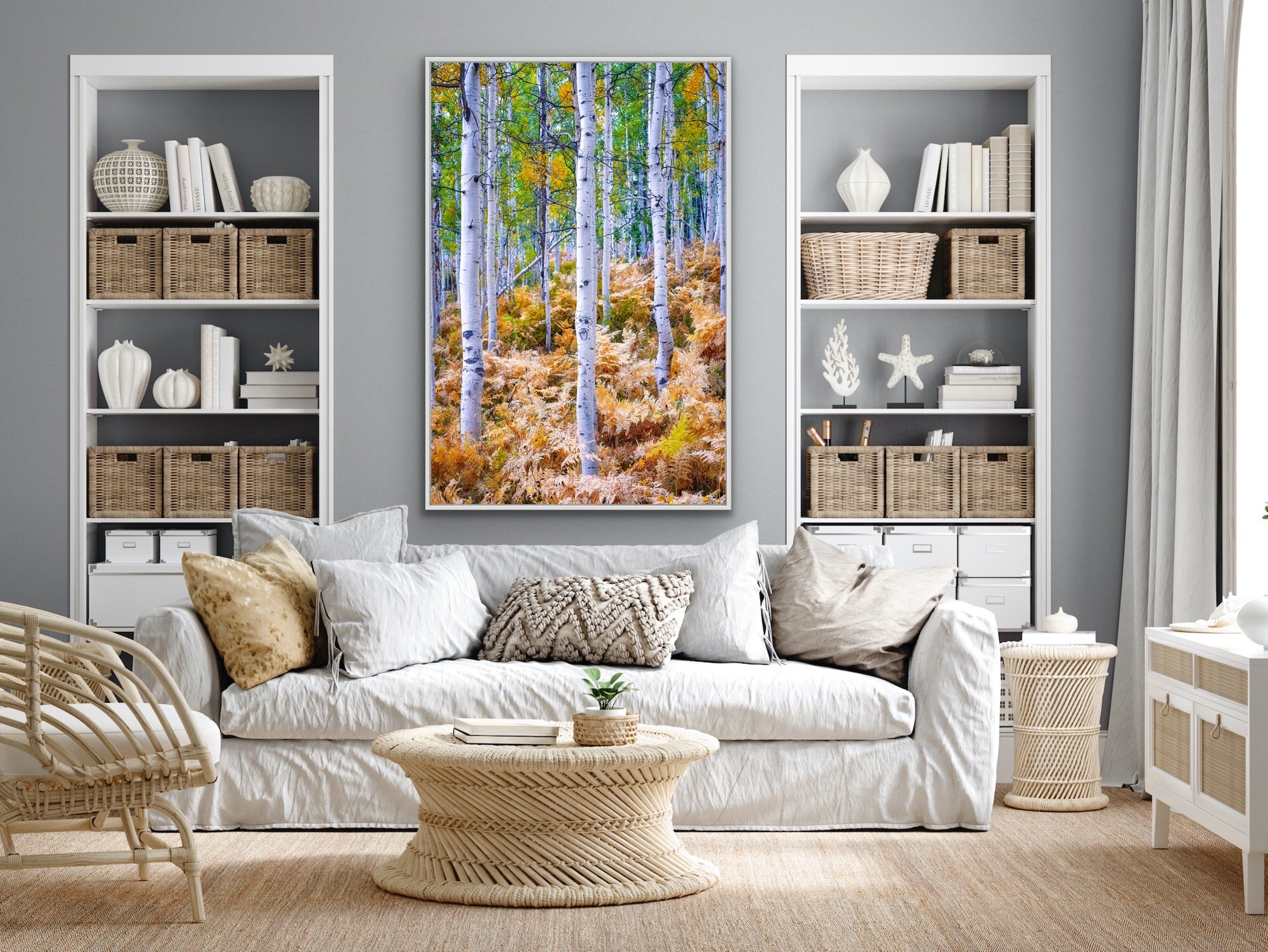 Image of Aspens and ferns in the forest hanging over a couch