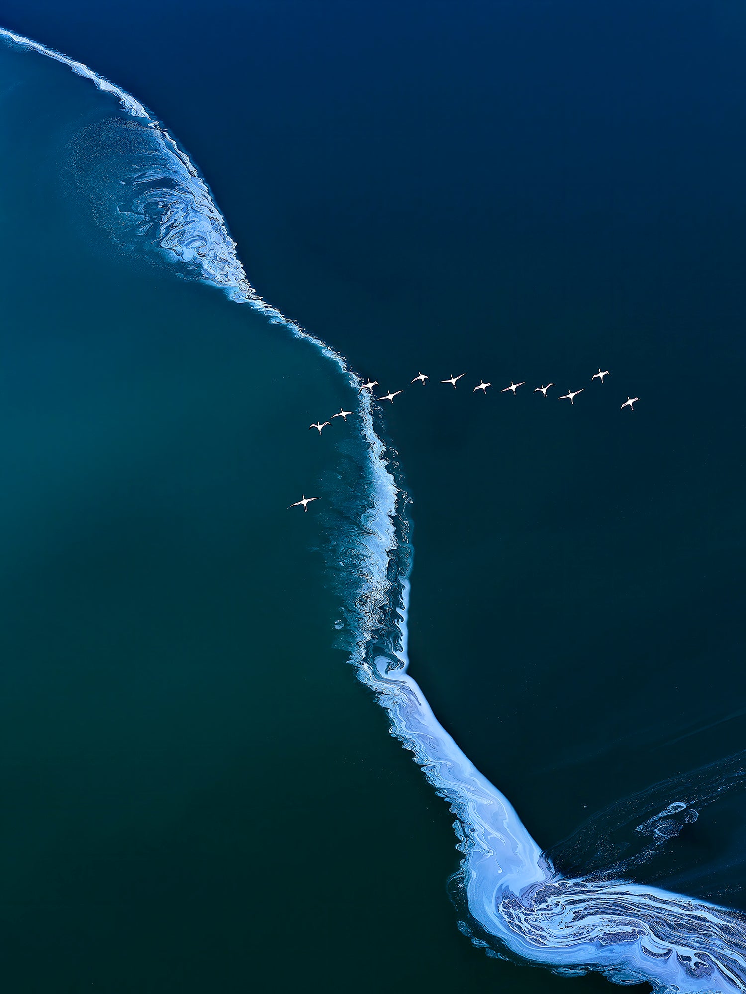 Flight of the 13 Flamingos Print – David Beavis Fine Art