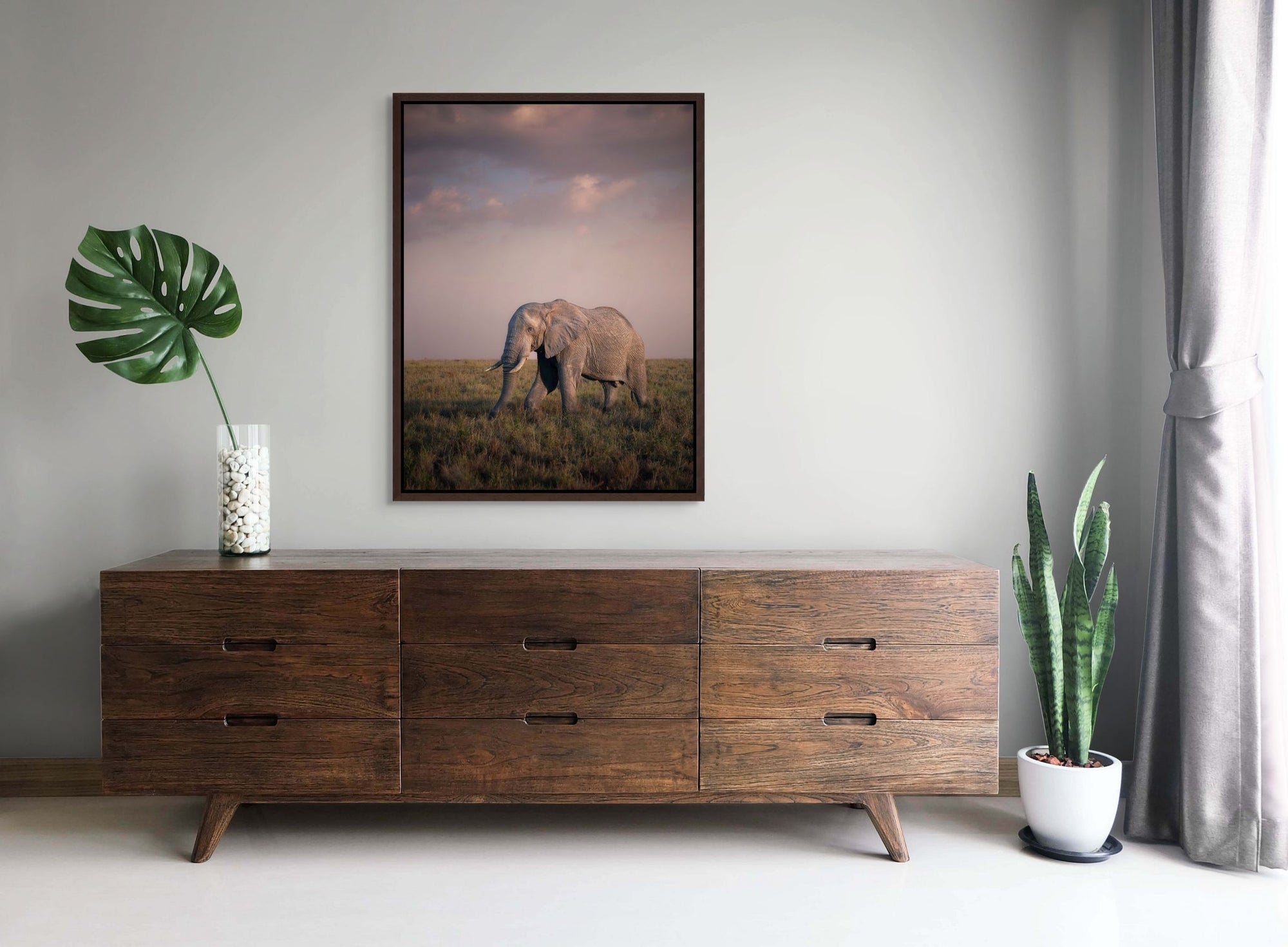 Photo of an elephant framed over a cabinet.