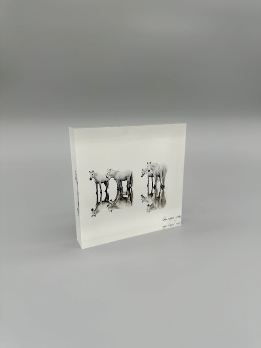 Black and white illustrations of a horse on a gray background