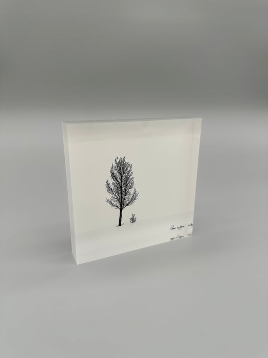 Acrylic block with two trees on a gray background