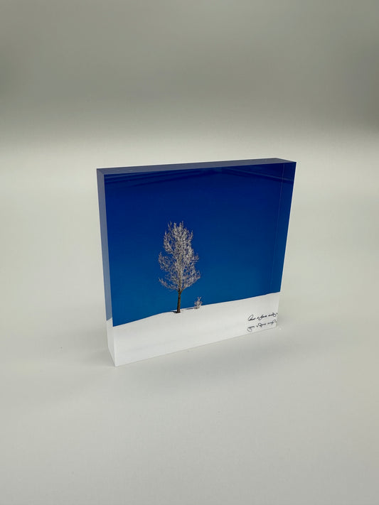 Acrylic block with a tree silhouette against a blue sky on a white base