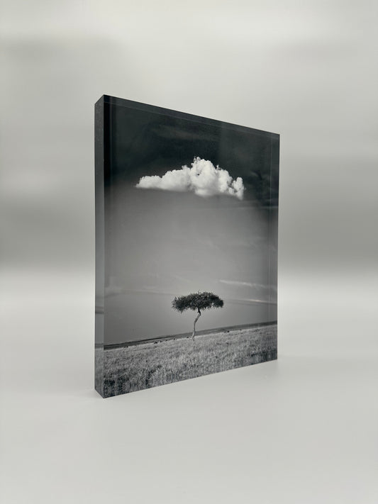 Nimbus Acrylic Block