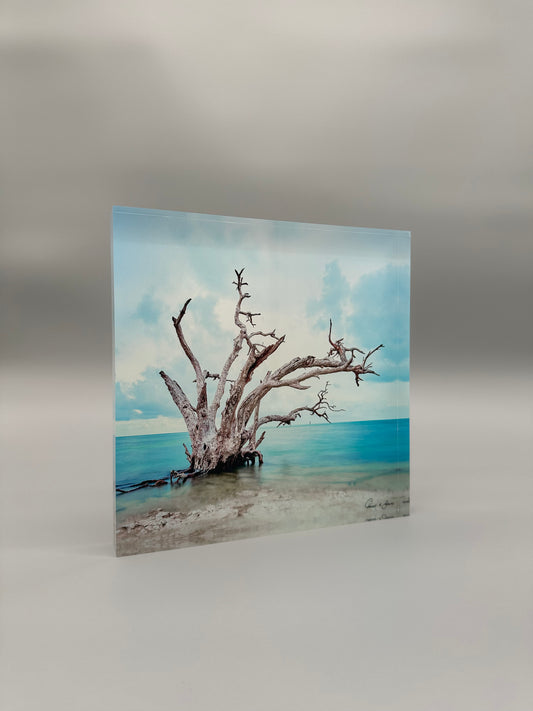 Against All Odds Acrylic Block