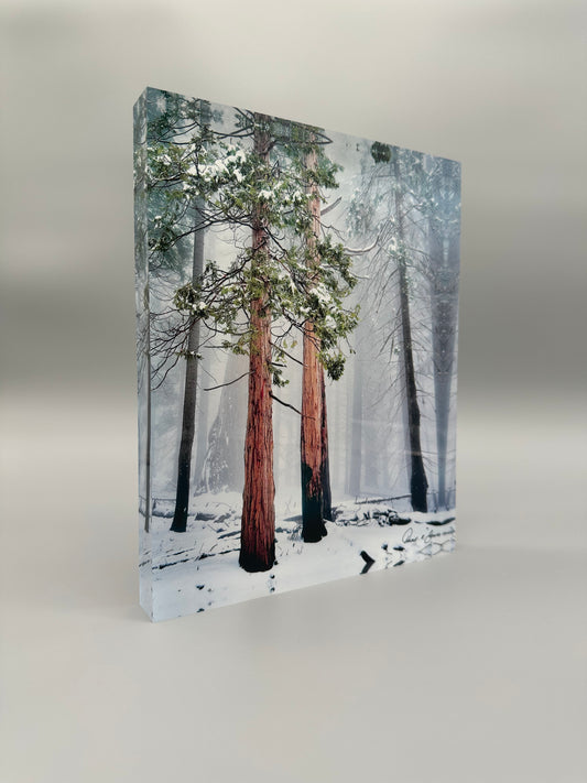 A Lifetime Together Acrylic Block