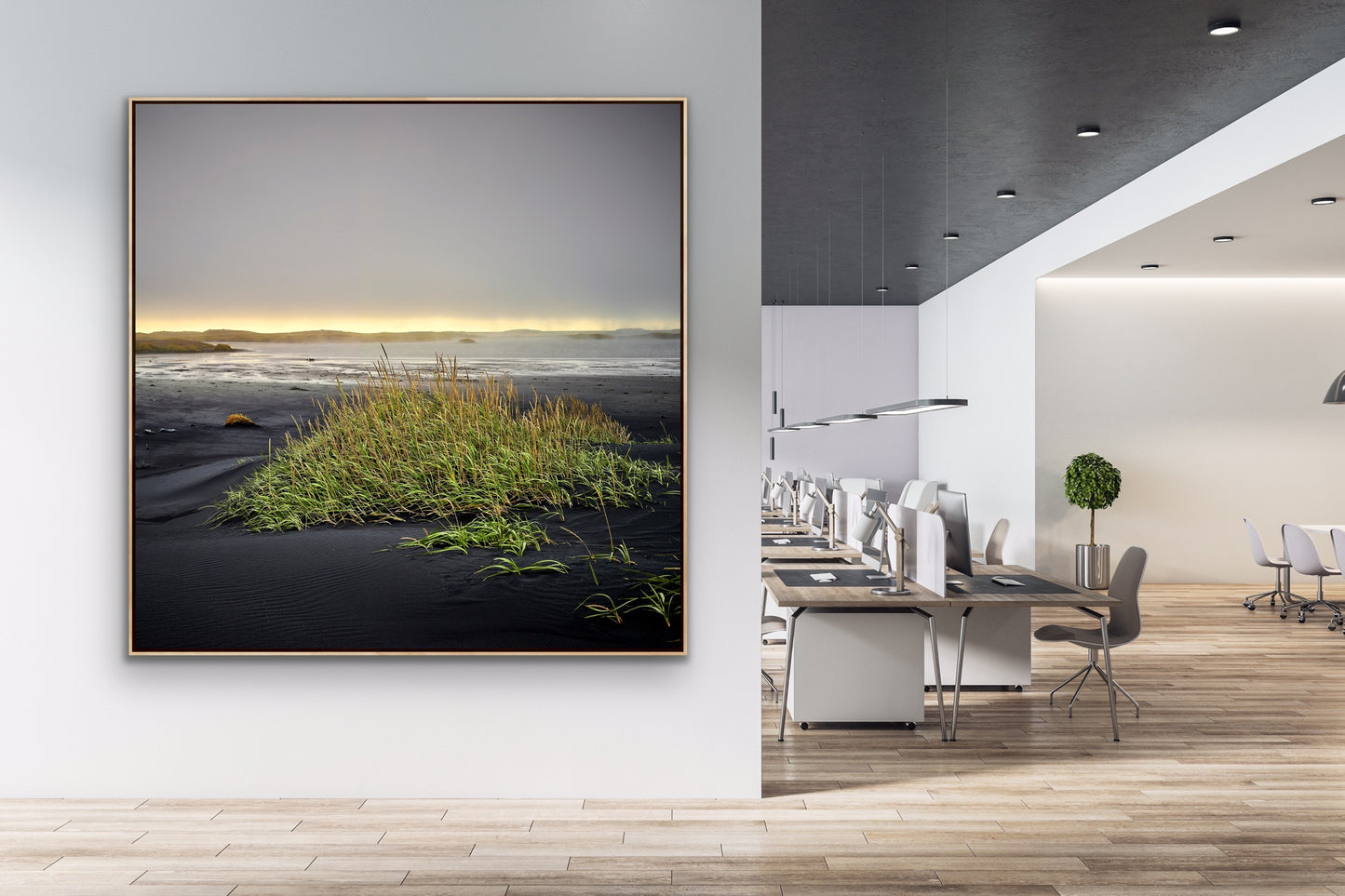 Icelandic Volcanic Black Sand Beach