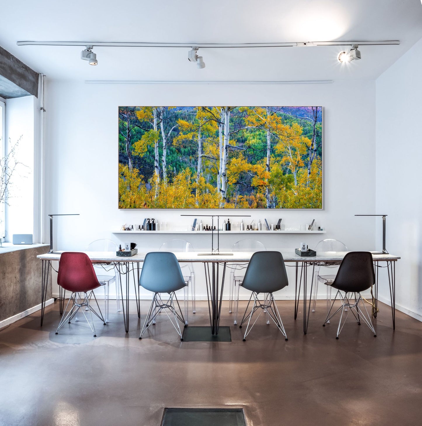 Aerial image of Aspen trees in Park City, Utah hanging above a work station.