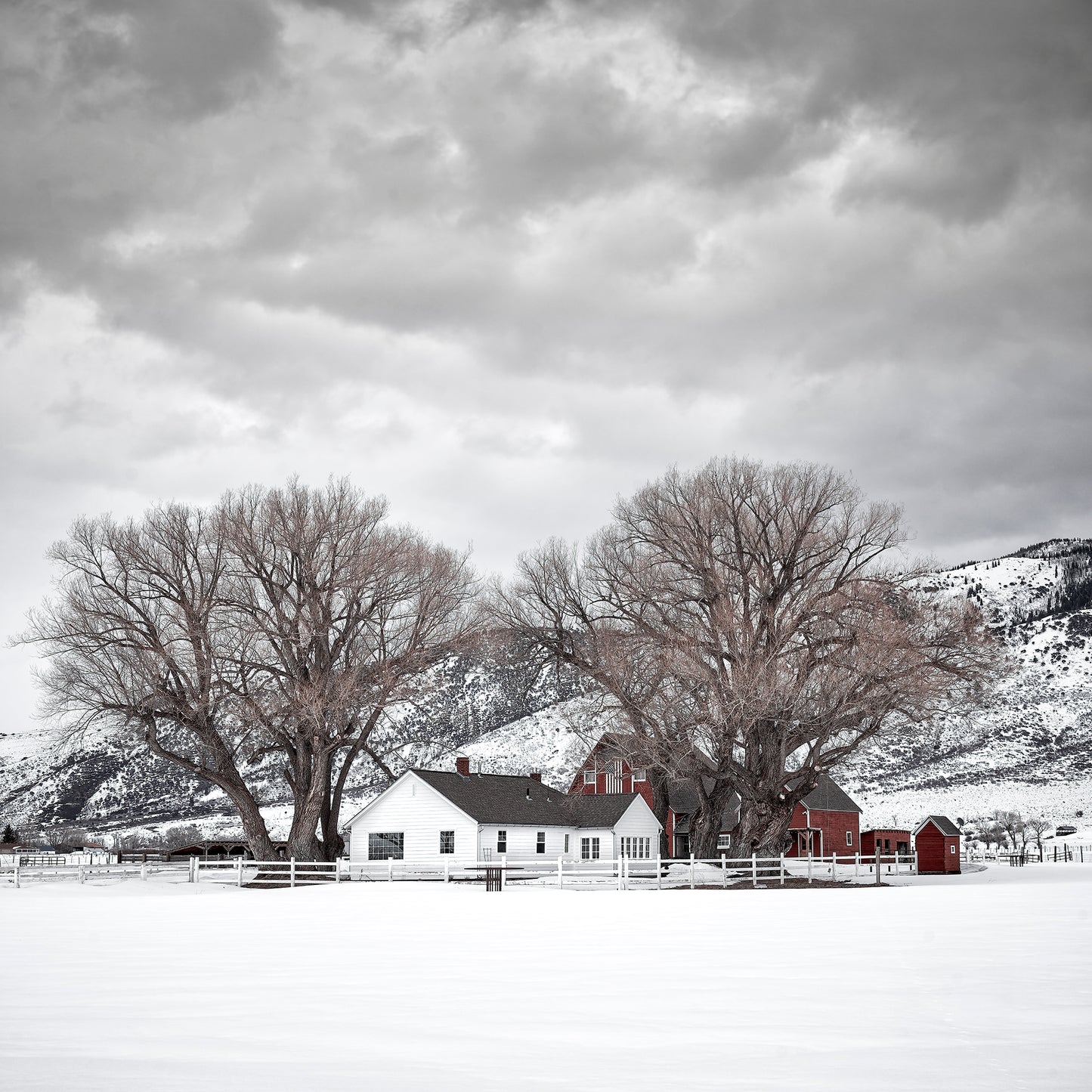 Winters Homestead