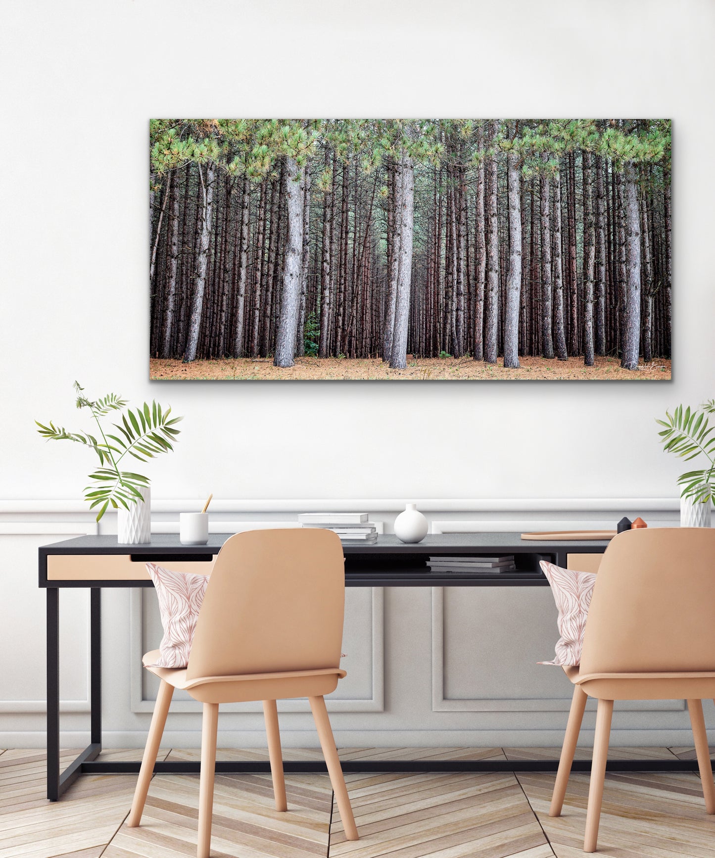 A Walk in the Woods - No Frame