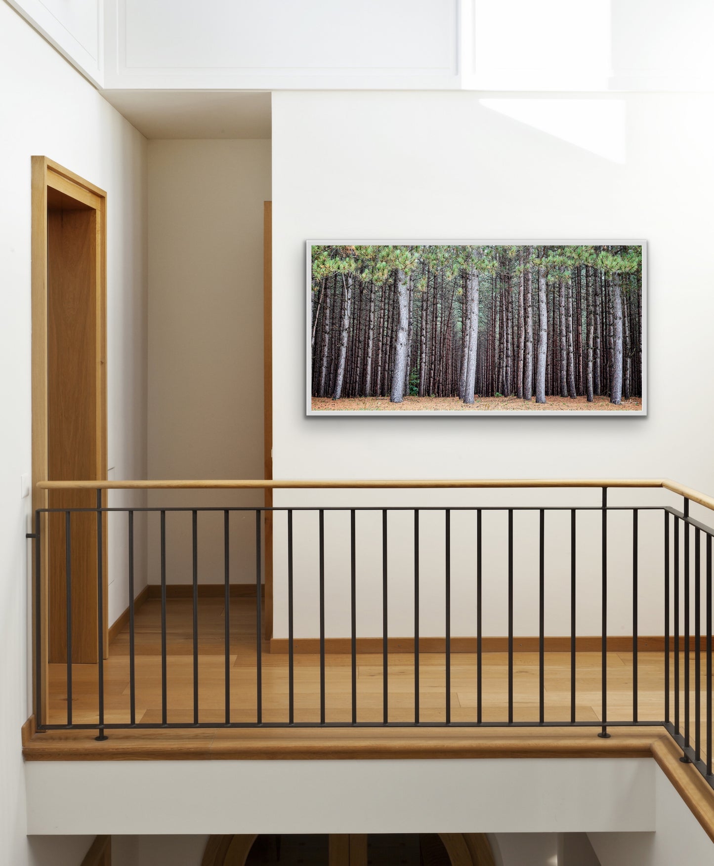 A Walk in the Woods - White Frame