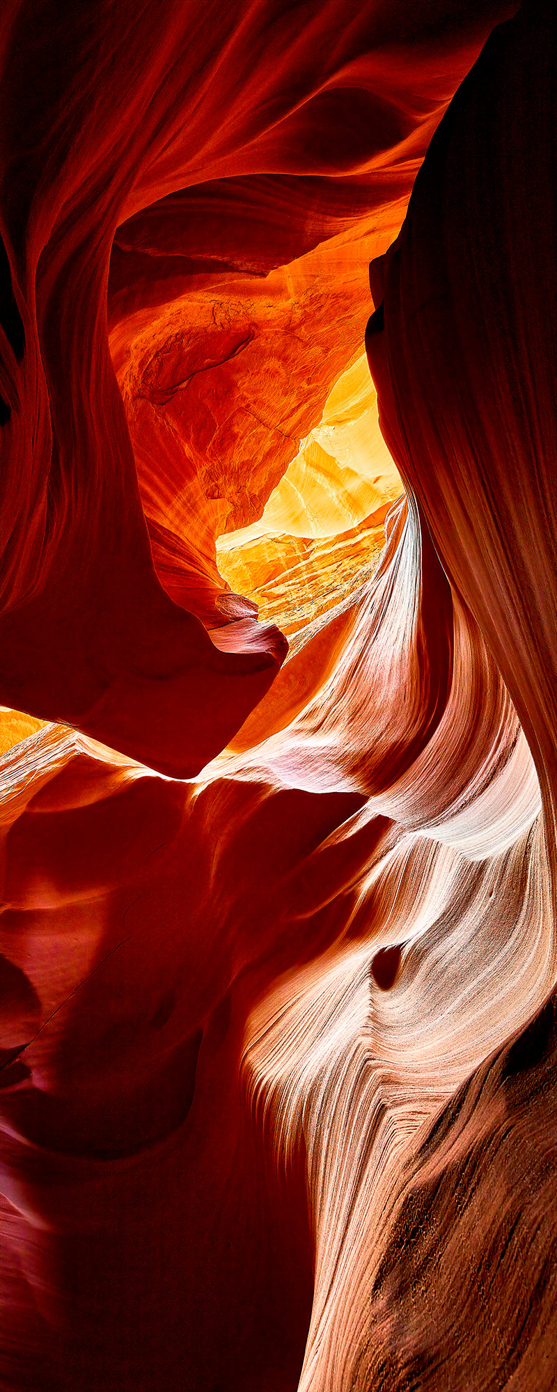 The Golden Chamber of Light Print