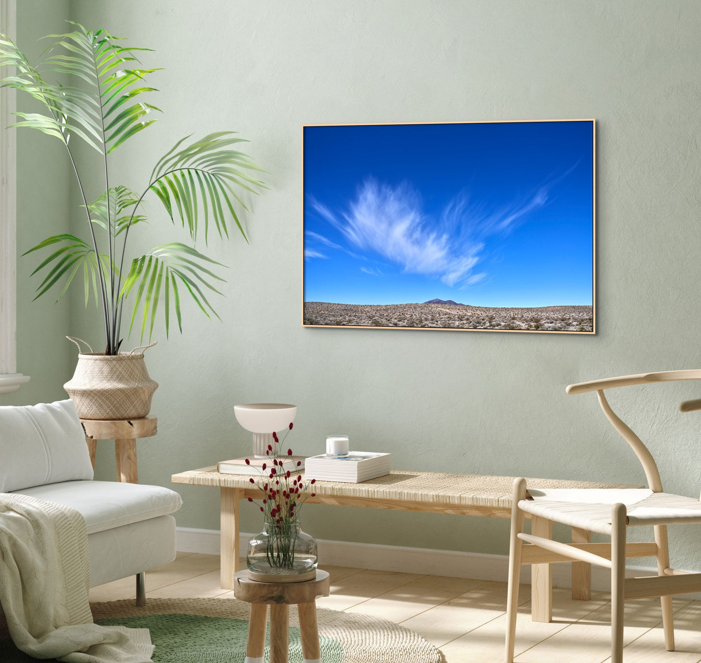 Desert Expanse