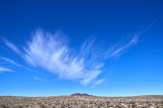 Desert Expanse