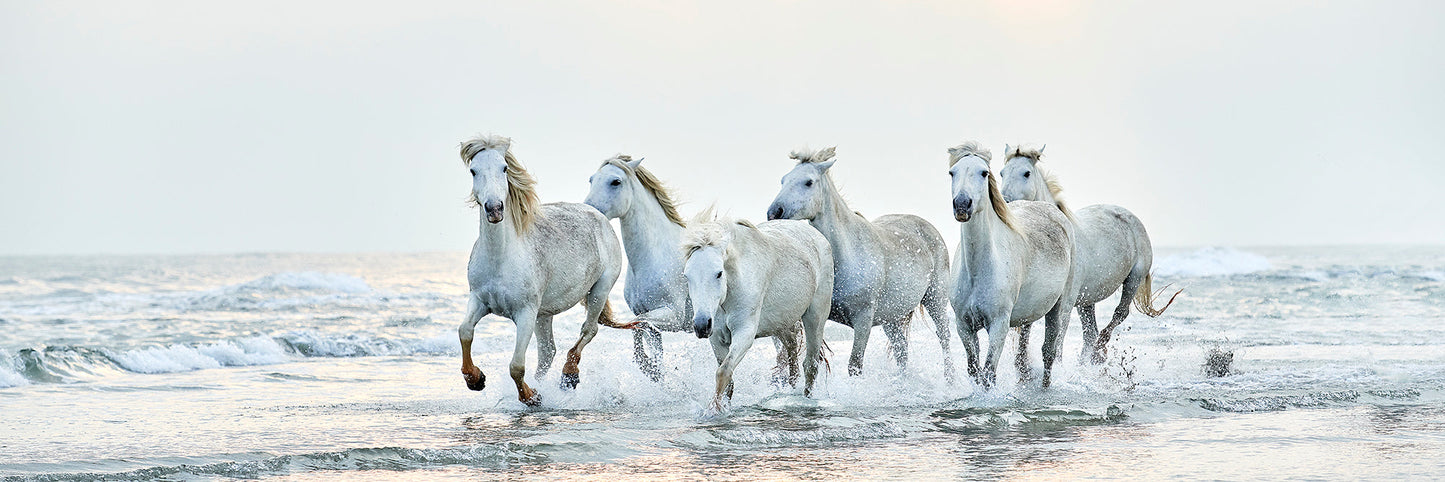 Born to Run Print