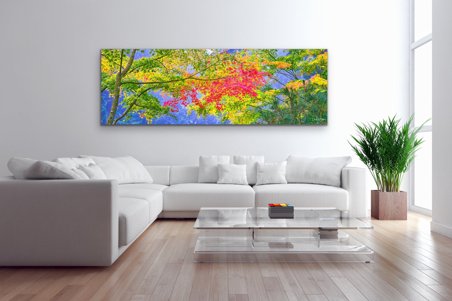 Colorful Canopy - No Frame