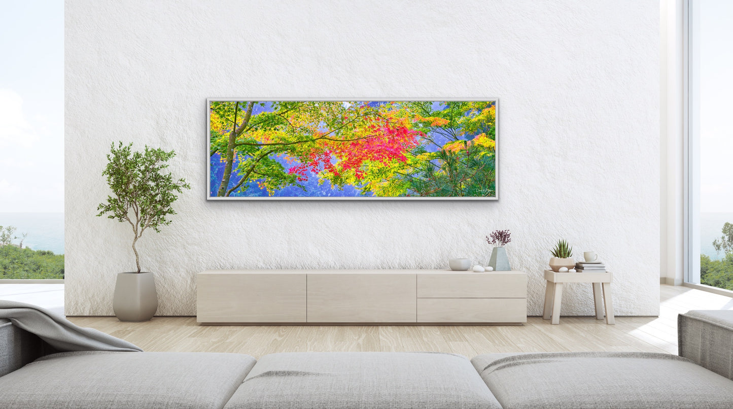 Colorful Canopy - White Frame