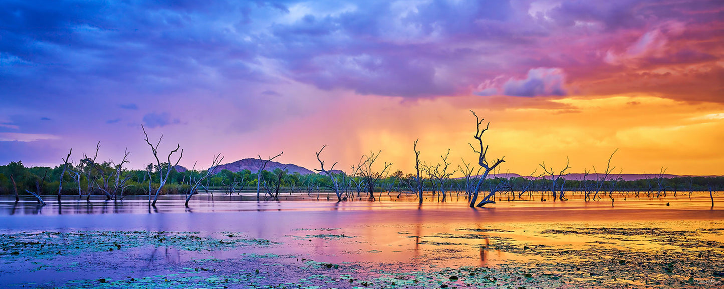 Colors of the Rainbow Panoramic