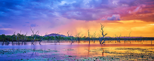 Colors of the Rainbow Panoramic
