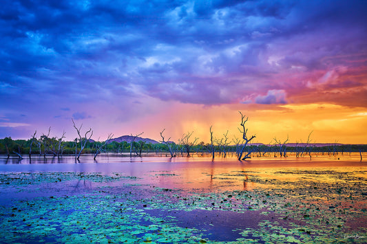 Colors of the Rainbow Landscape
