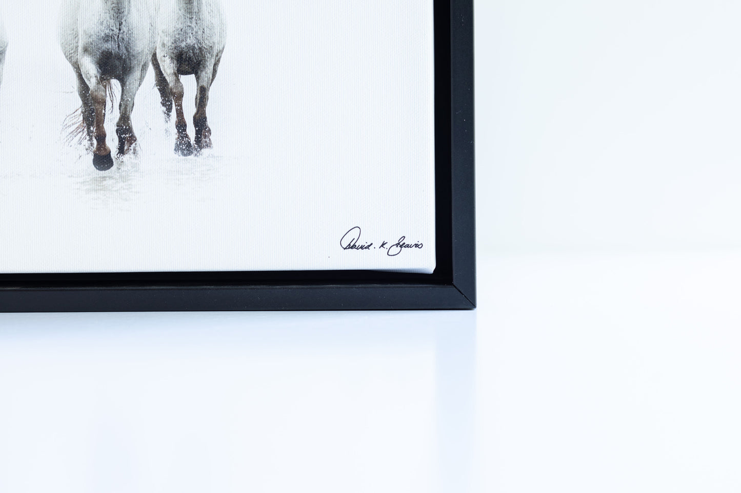 Running Free Print