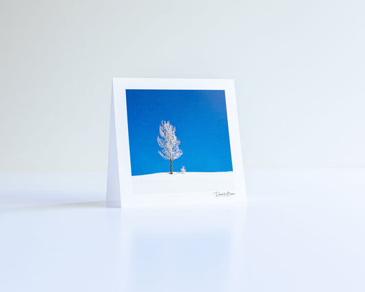 Nothing But Blue Skies Greeting Card Set