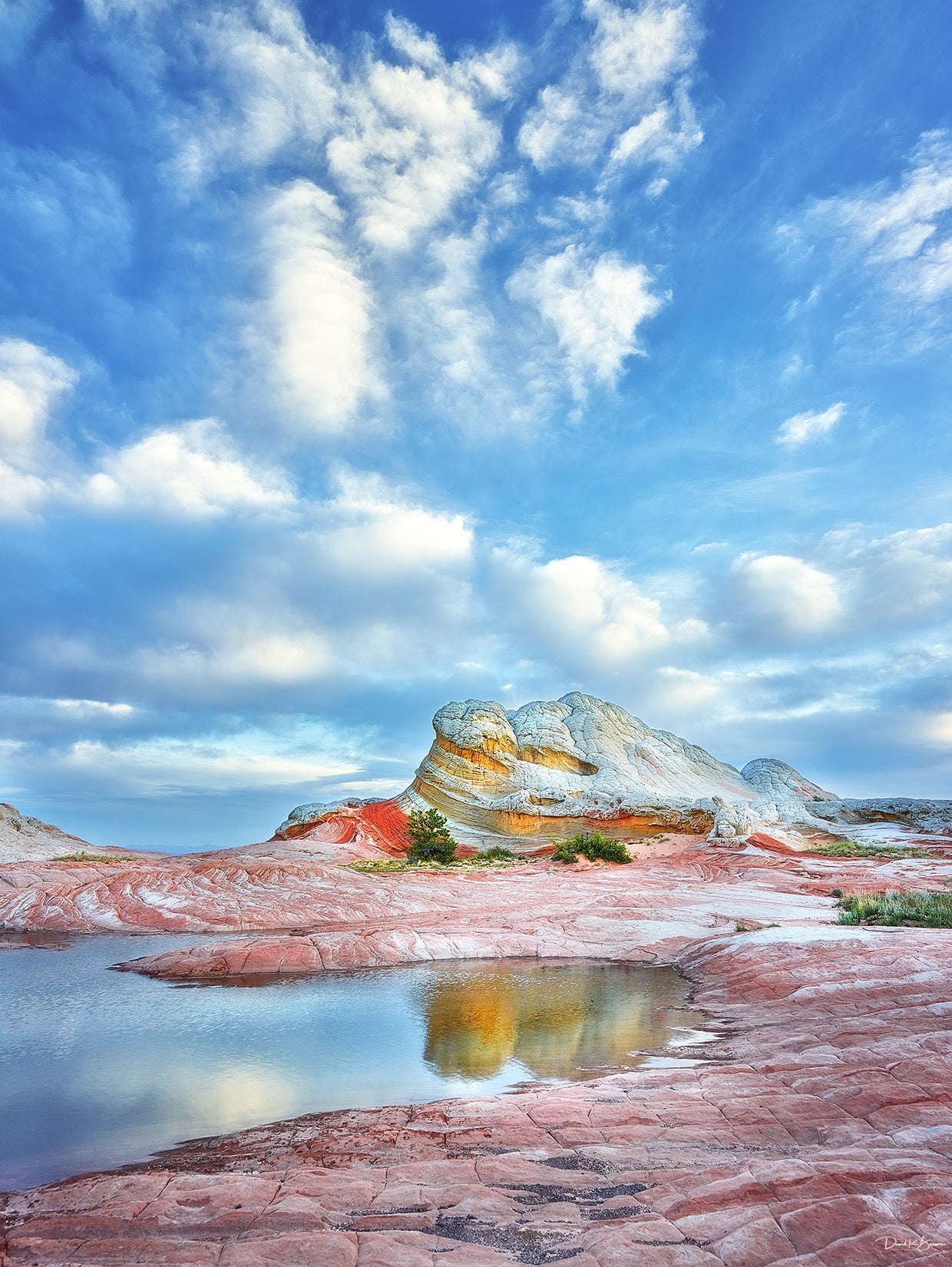 Desert Reflections