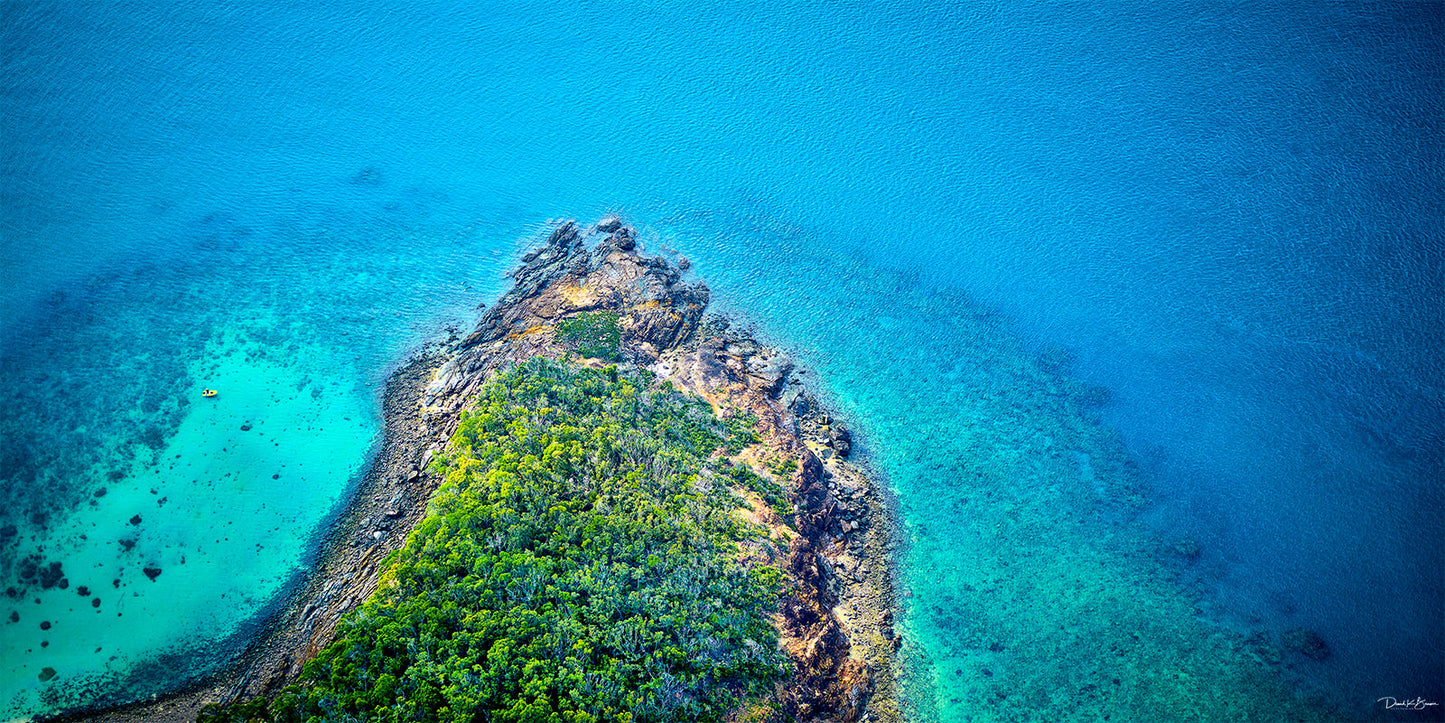 Dive Print