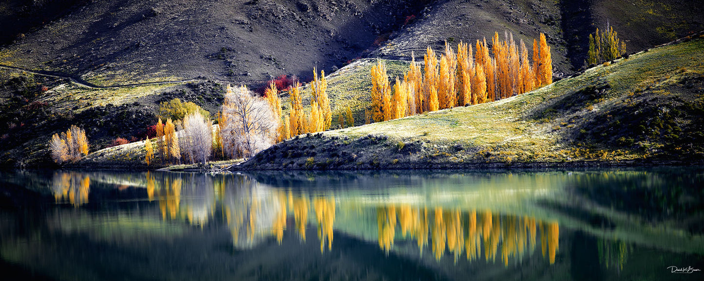Golden Reflections
