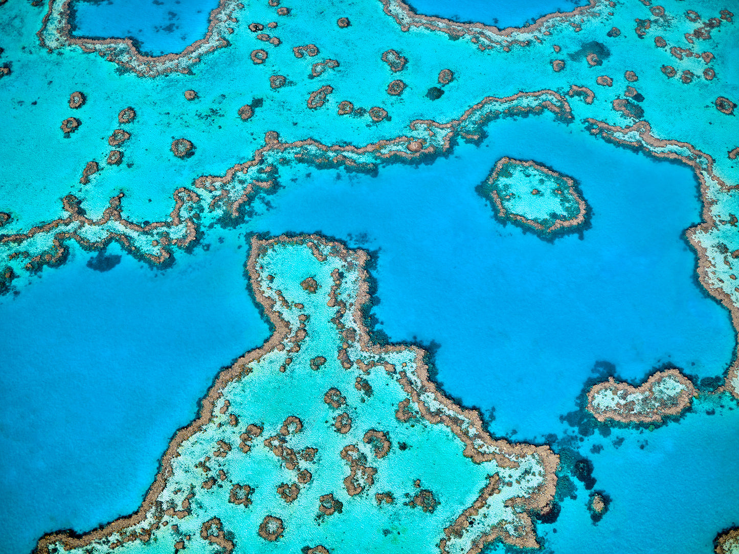 Great Barrier Reef