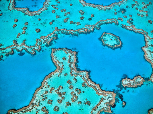 Great Barrier Reef Print