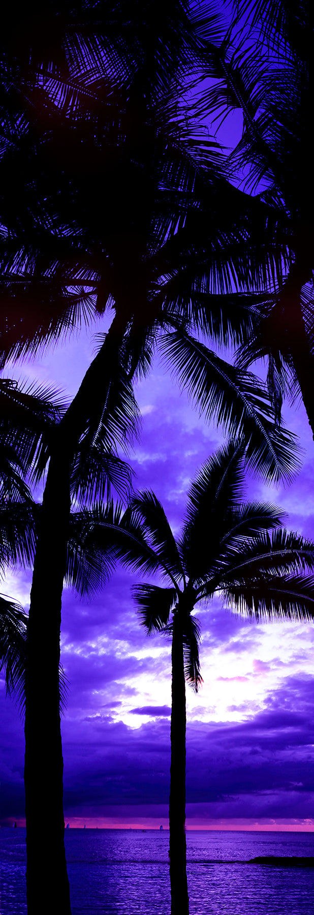 Hawaiian Hues
