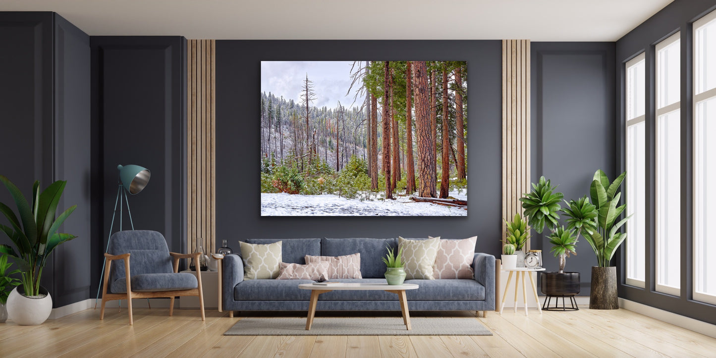 Life in Yosemite