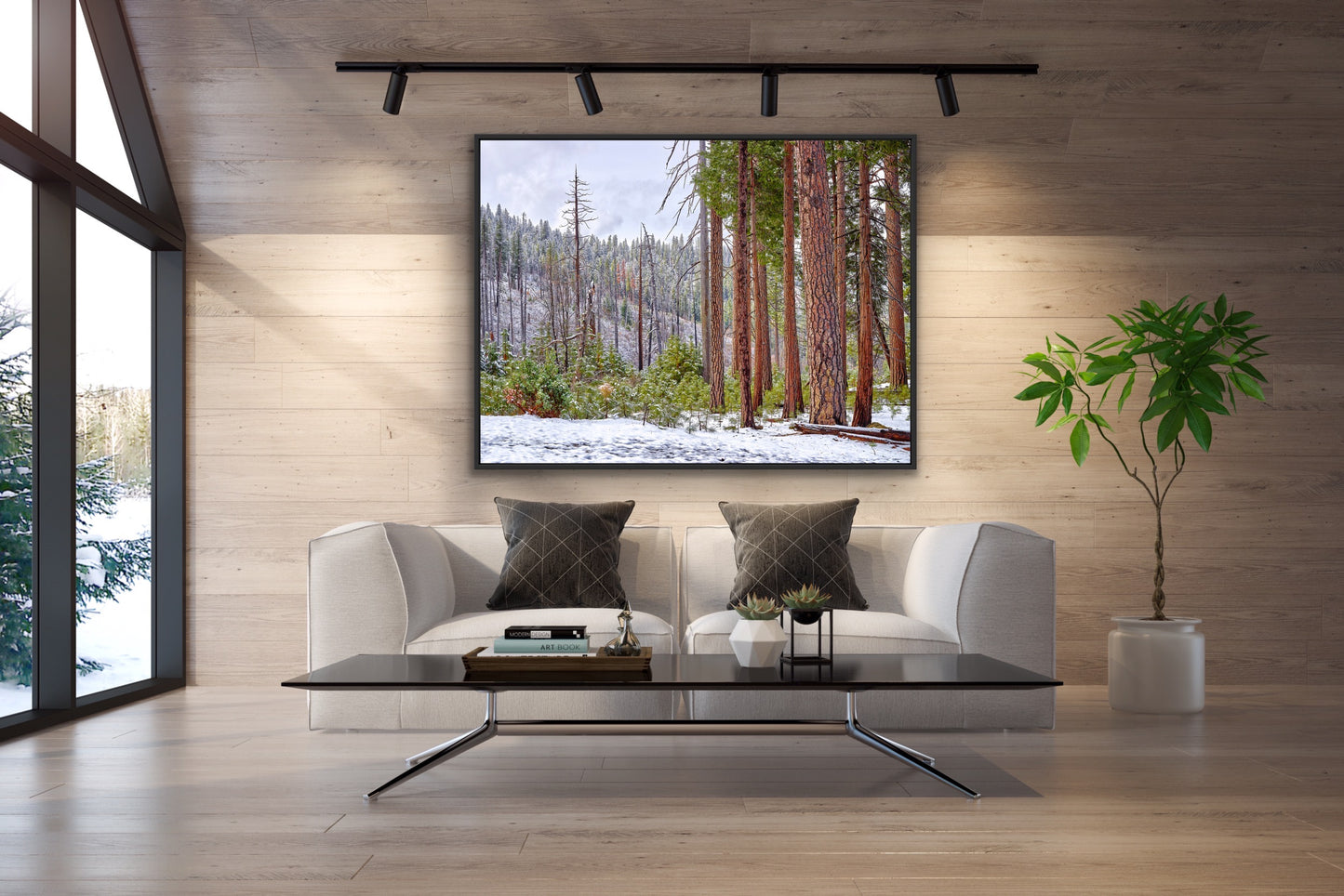 Life in Yosemite