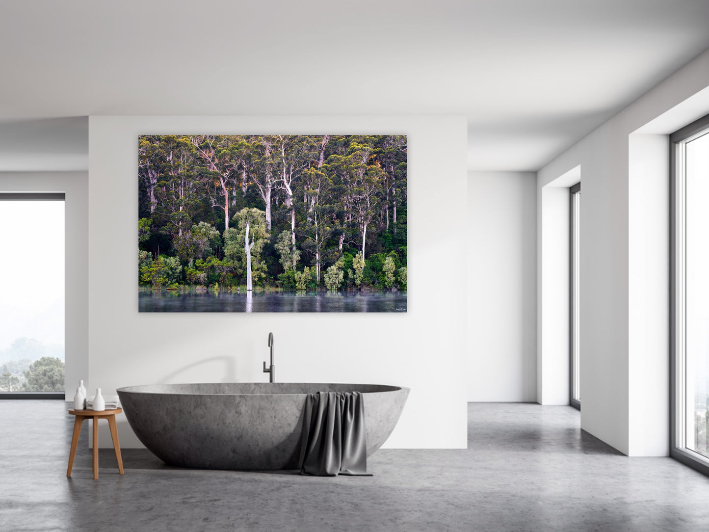 Karri Forest Sunrise - No Frame