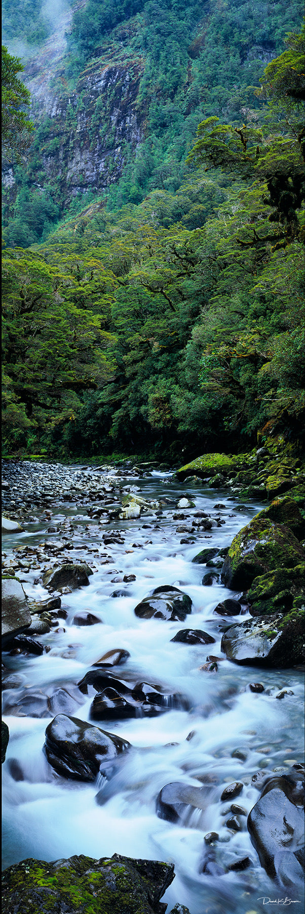 Living Waters