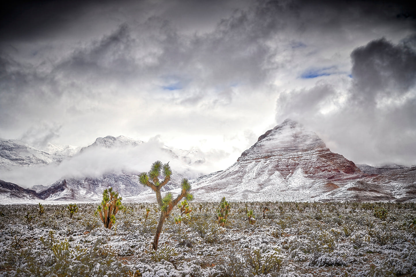 Moods of the Desert