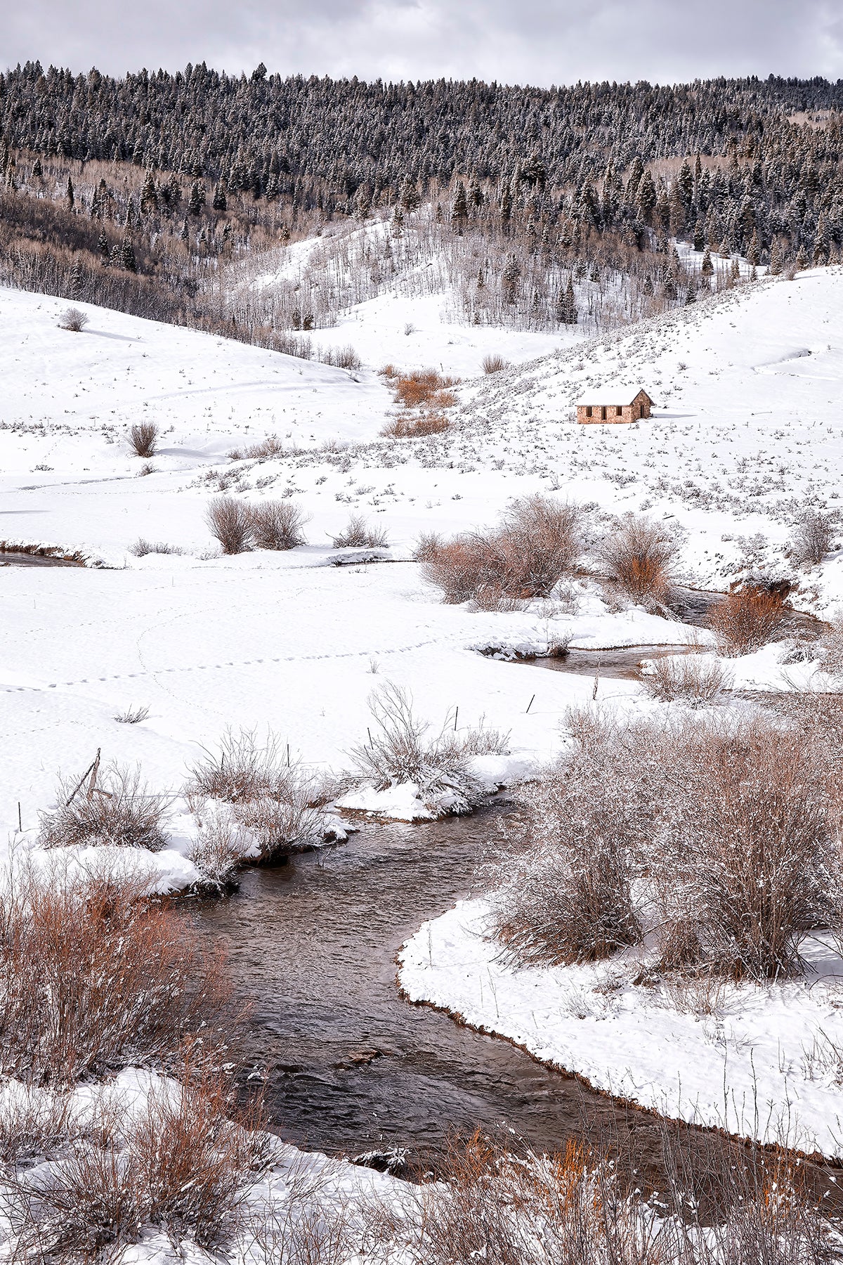 Park City