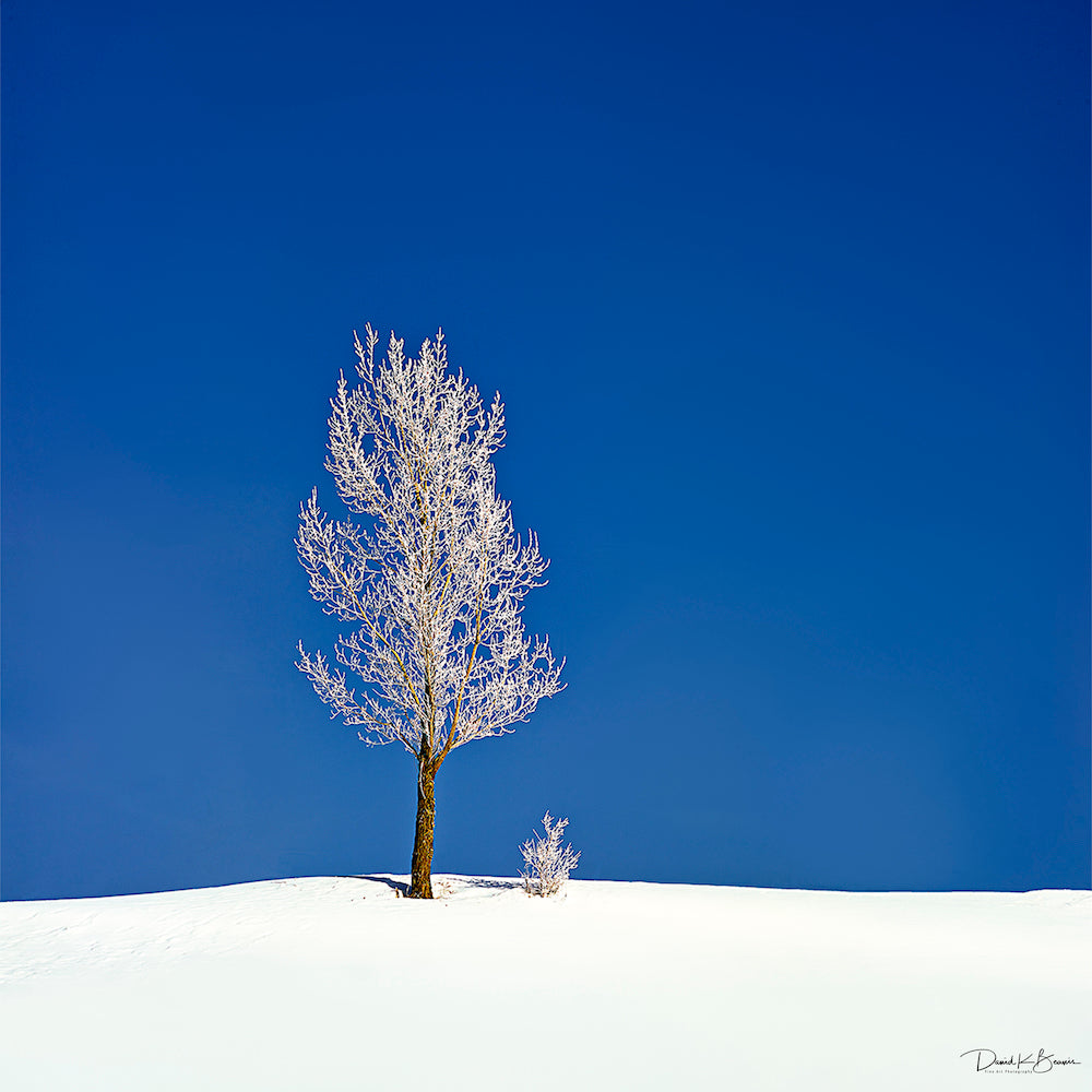 Nothing But Blue Skies Greeting Card Set