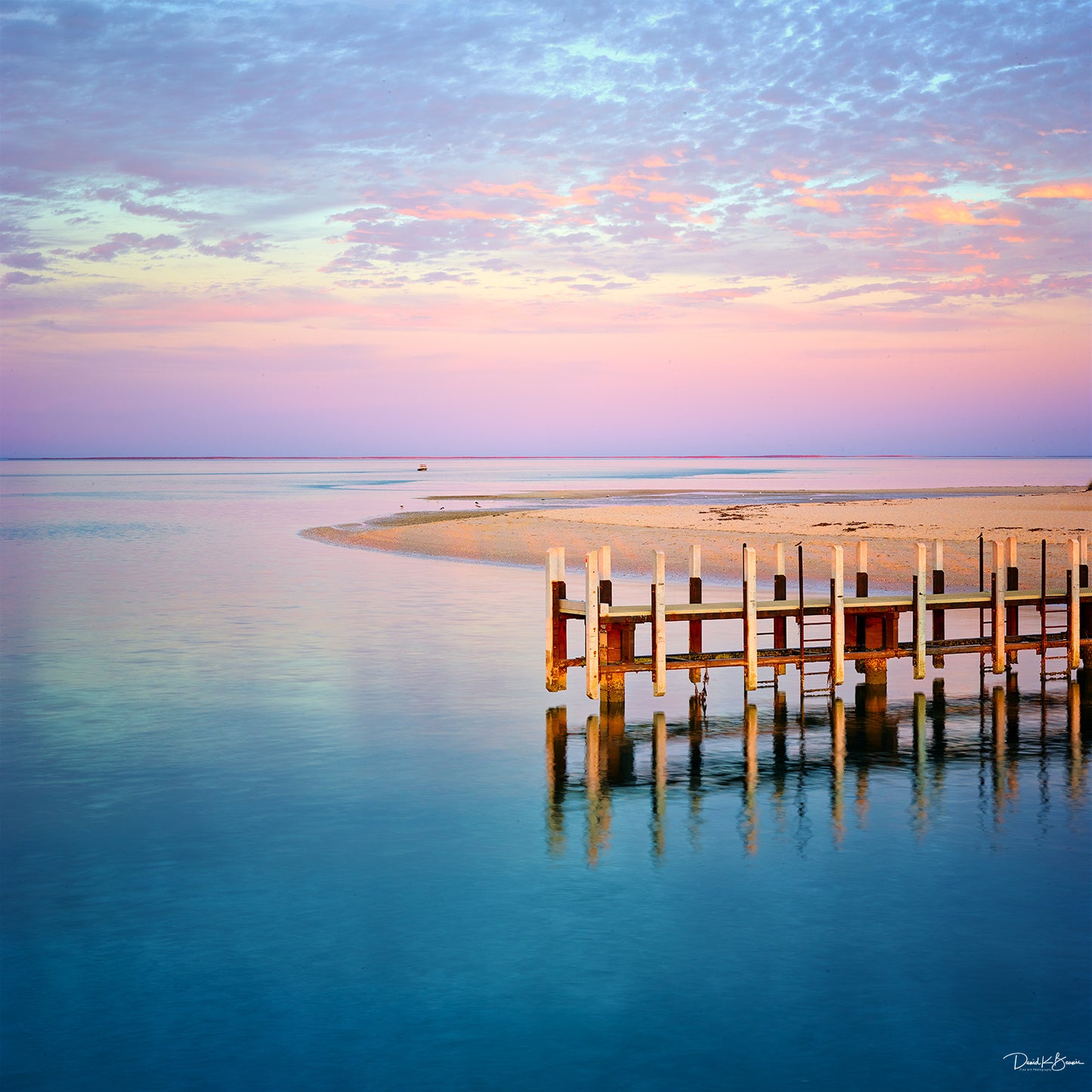 Pastel Eve