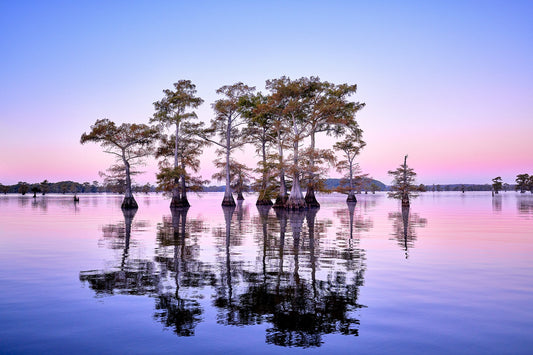 sunset over water with trees in foreground.
