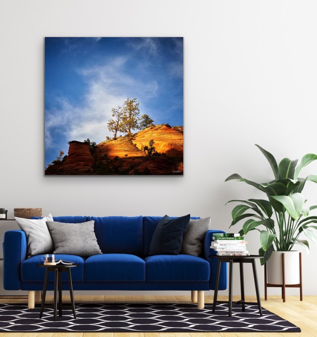 Spot Light on Zion - No Frame