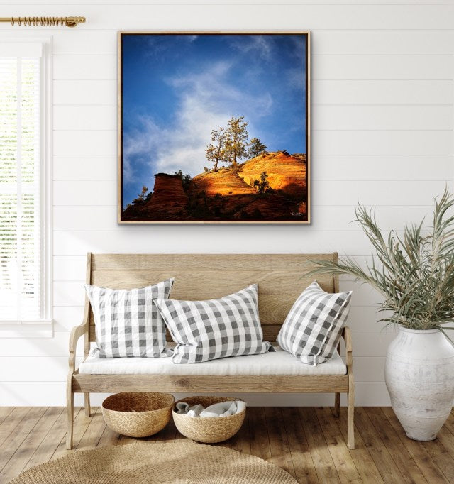 Spot Light on Zion - Oak Frame