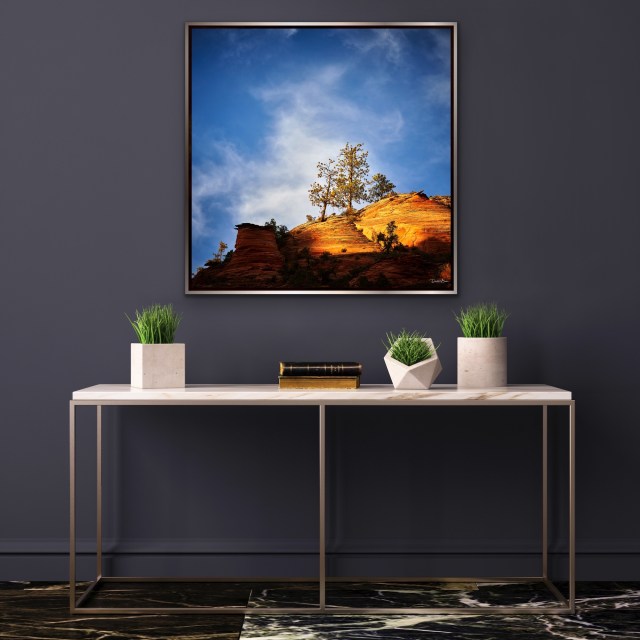 Spot Light on Zion - Silver Frame