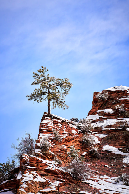 Zion. Still Standing Print